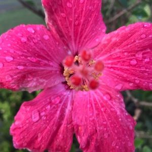 Meet your Posher, Amelia